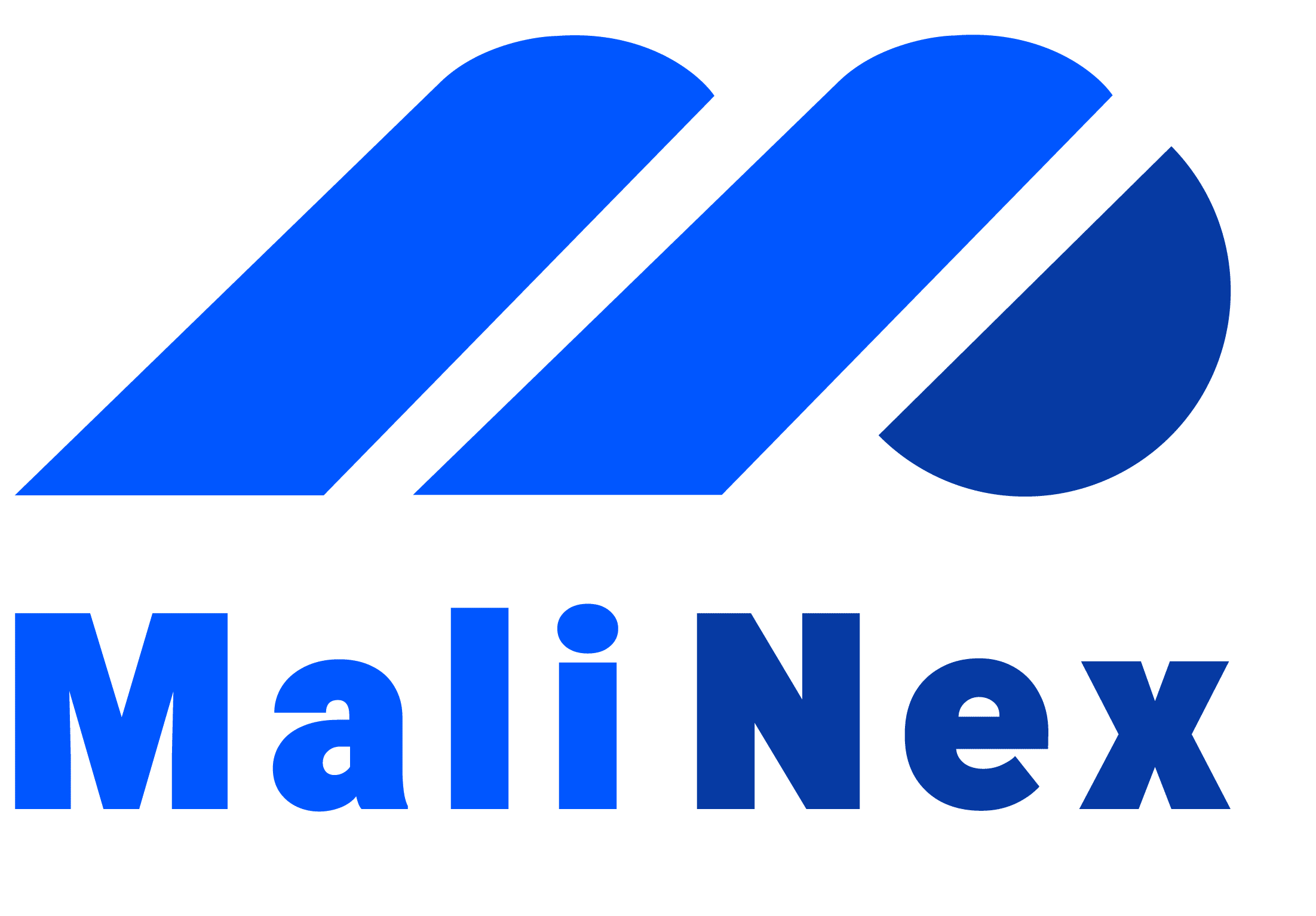 لوگو مالی نکس